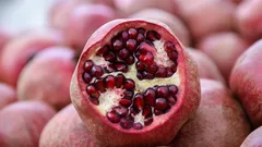 毎日ザクロを食べる：メリットか、それとも隠れたデメリットか？ 率直に検証してみる